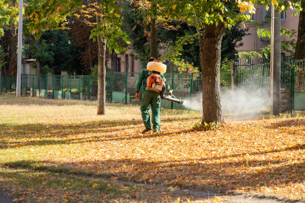 Best Flea Control Services  in Monument Beach, MA