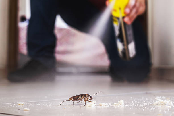 Best Bed Bug Extermination  in Monument Beach, MA