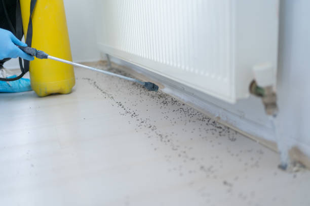 Best Best Pest Control Companies  in Monument Beach, MA